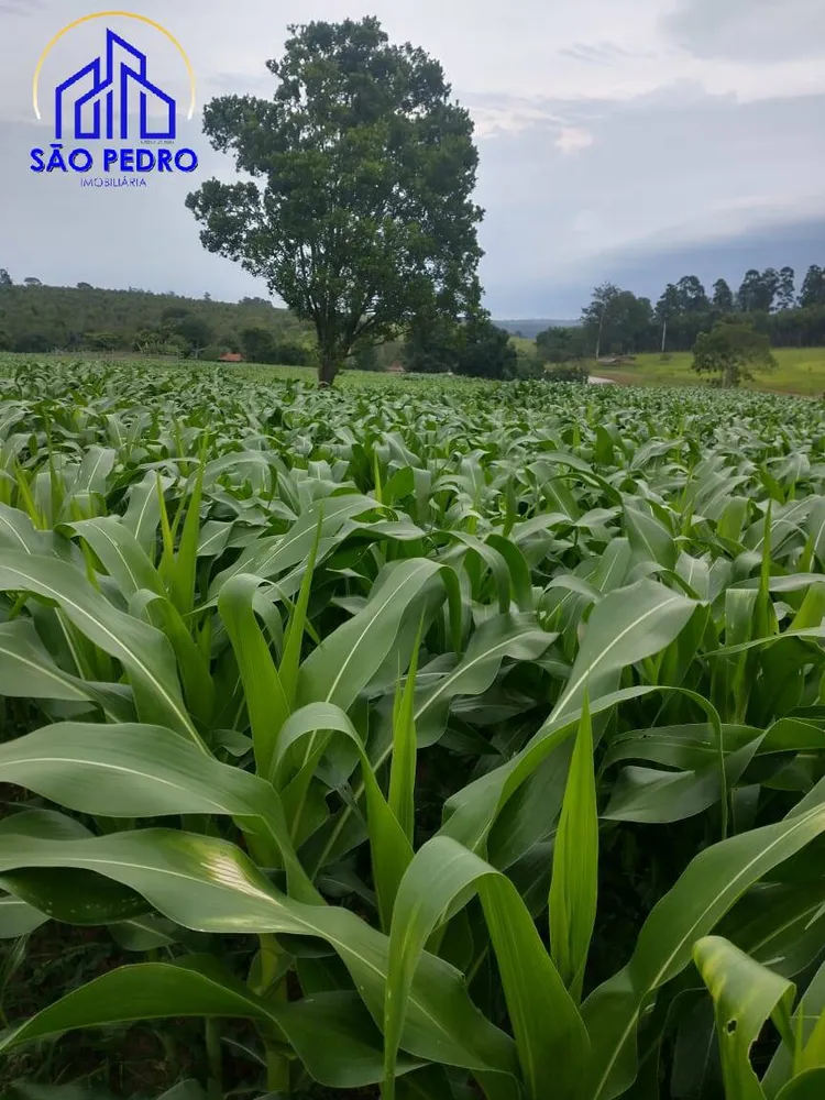 Terreno, 19 m² - Foto 9