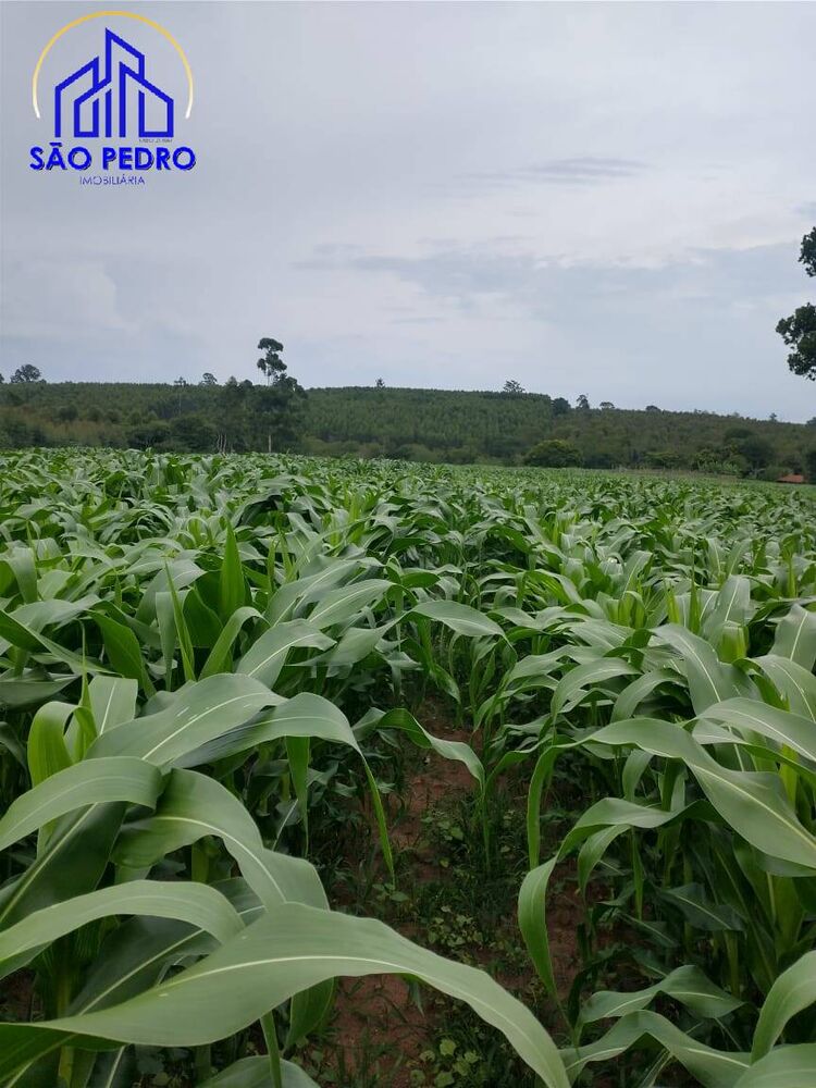 Terreno à venda, 19m² - Foto 2
