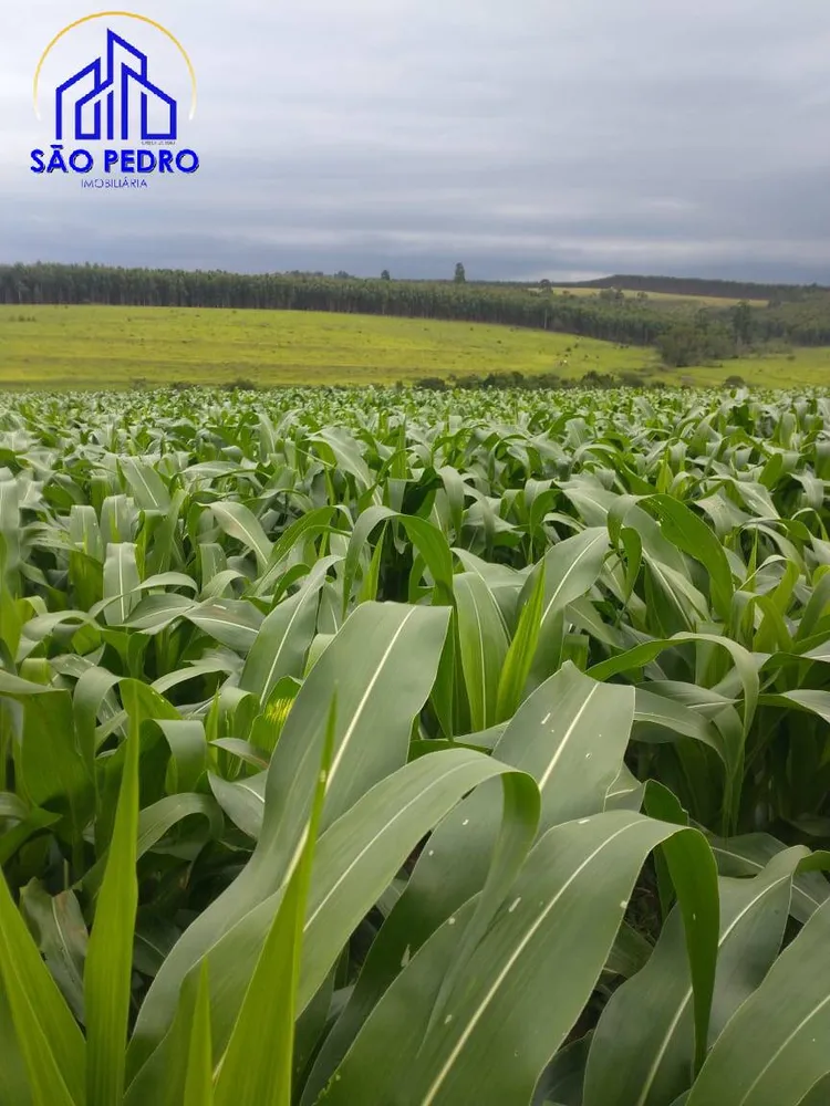 Terreno, 19 m² - Foto 2