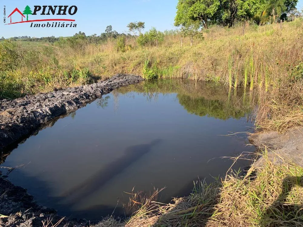 Terreno à venda, 5000m² - Foto 3