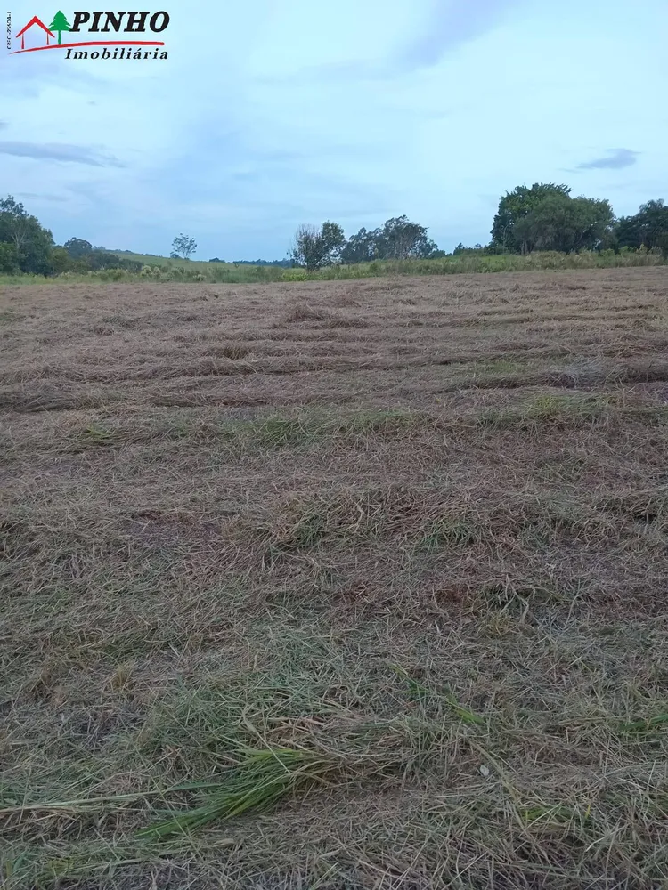 Terreno, 5000 m² - Foto 8