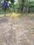 Terreno, 2 hectares - Foto 4