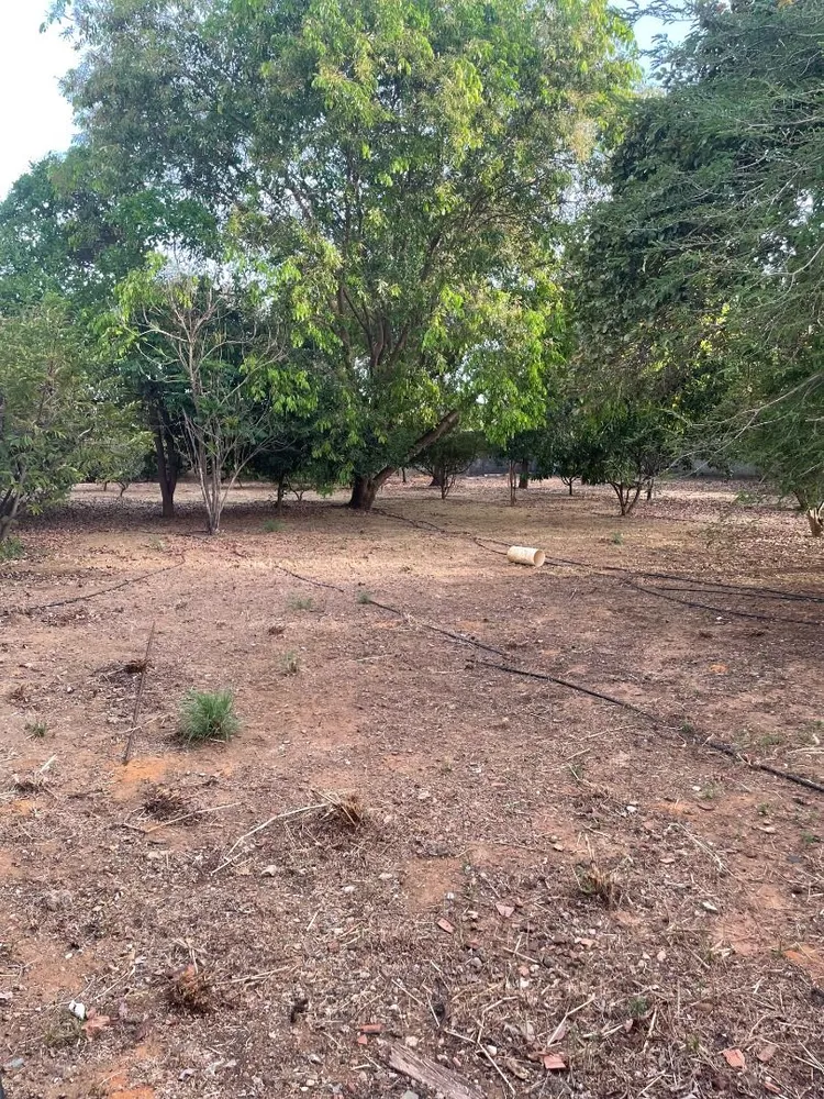 Terreno, 2791 m² - Foto 10
