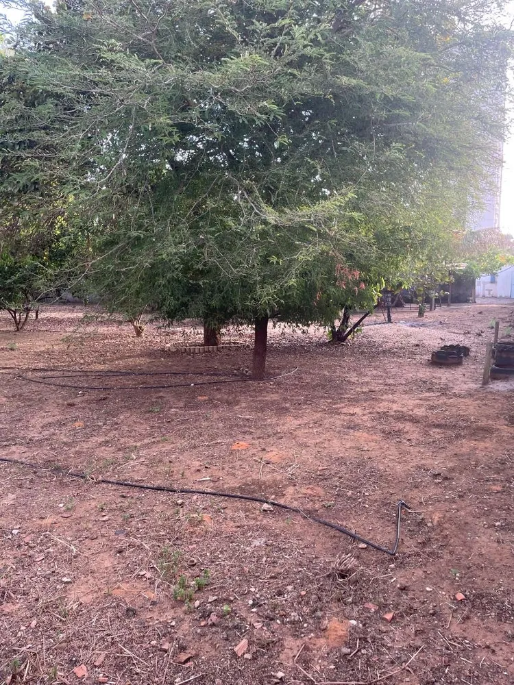Terreno, 2791 m² - Foto 11