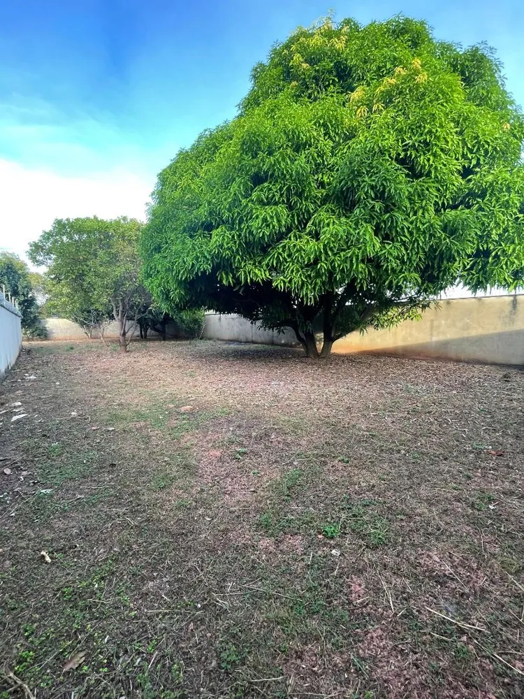 Terreno, 2791 m² - Foto 12