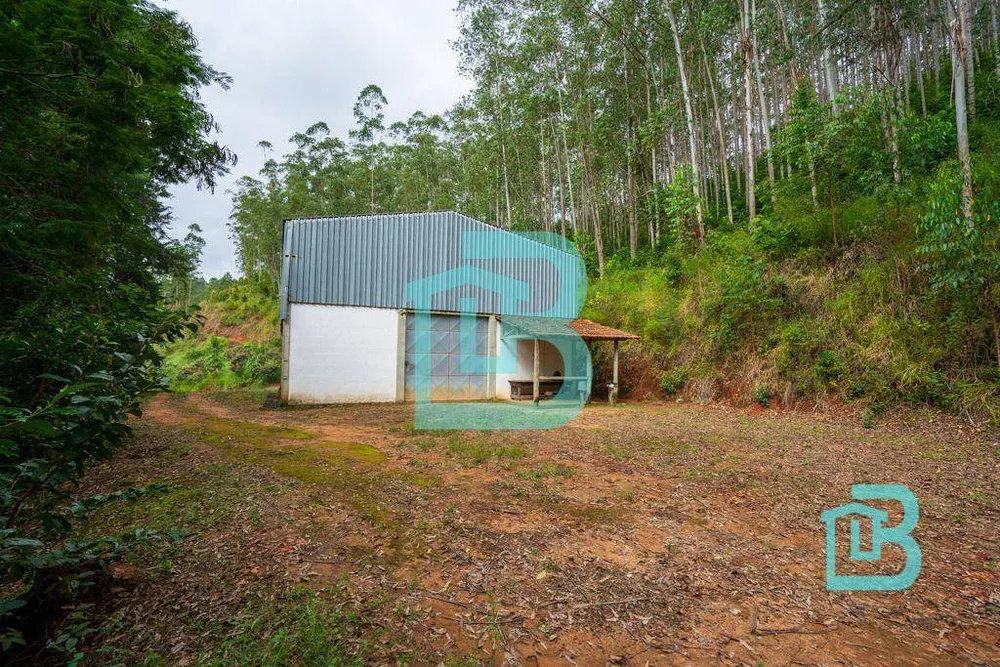 Fazenda, 1415 hectares - Foto 3