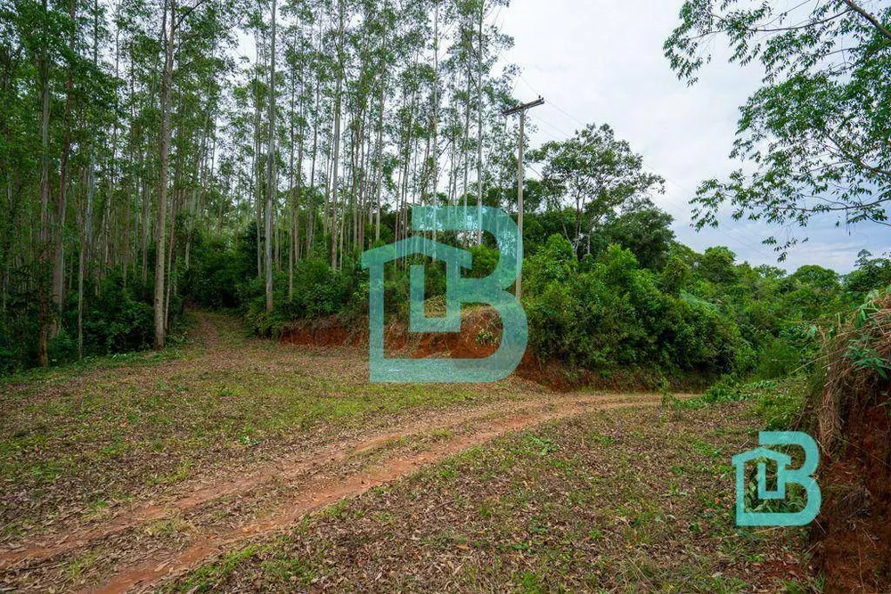 Fazenda, 1415 hectares - Foto 2