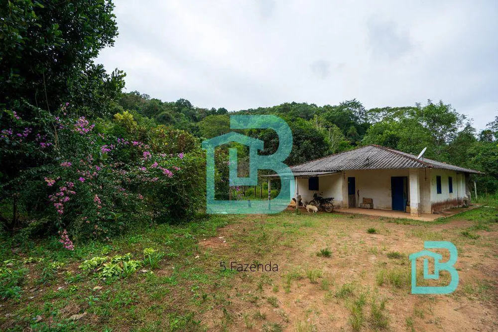 Fazenda, 1415 hectares - Foto 4