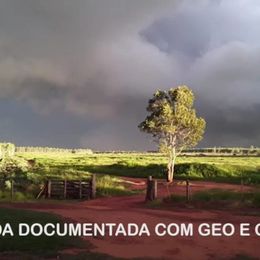 Fazenda à venda, 800m² - Foto 8