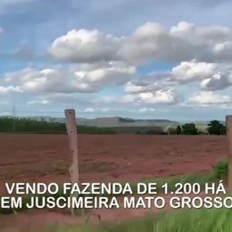 Fazenda à venda, 800m² - Foto 1