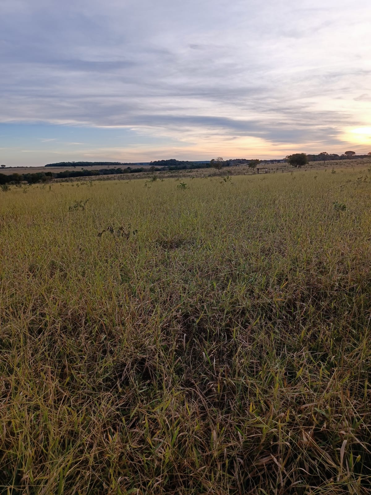 Fazenda à venda, 796m² - Foto 3