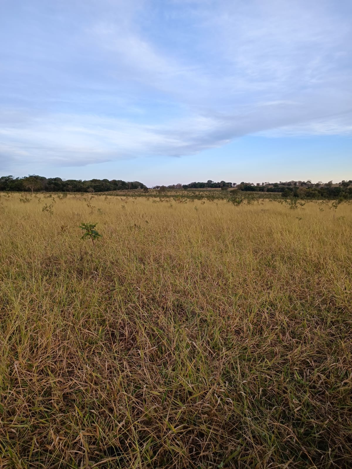 Fazenda à venda, 796m² - Foto 6