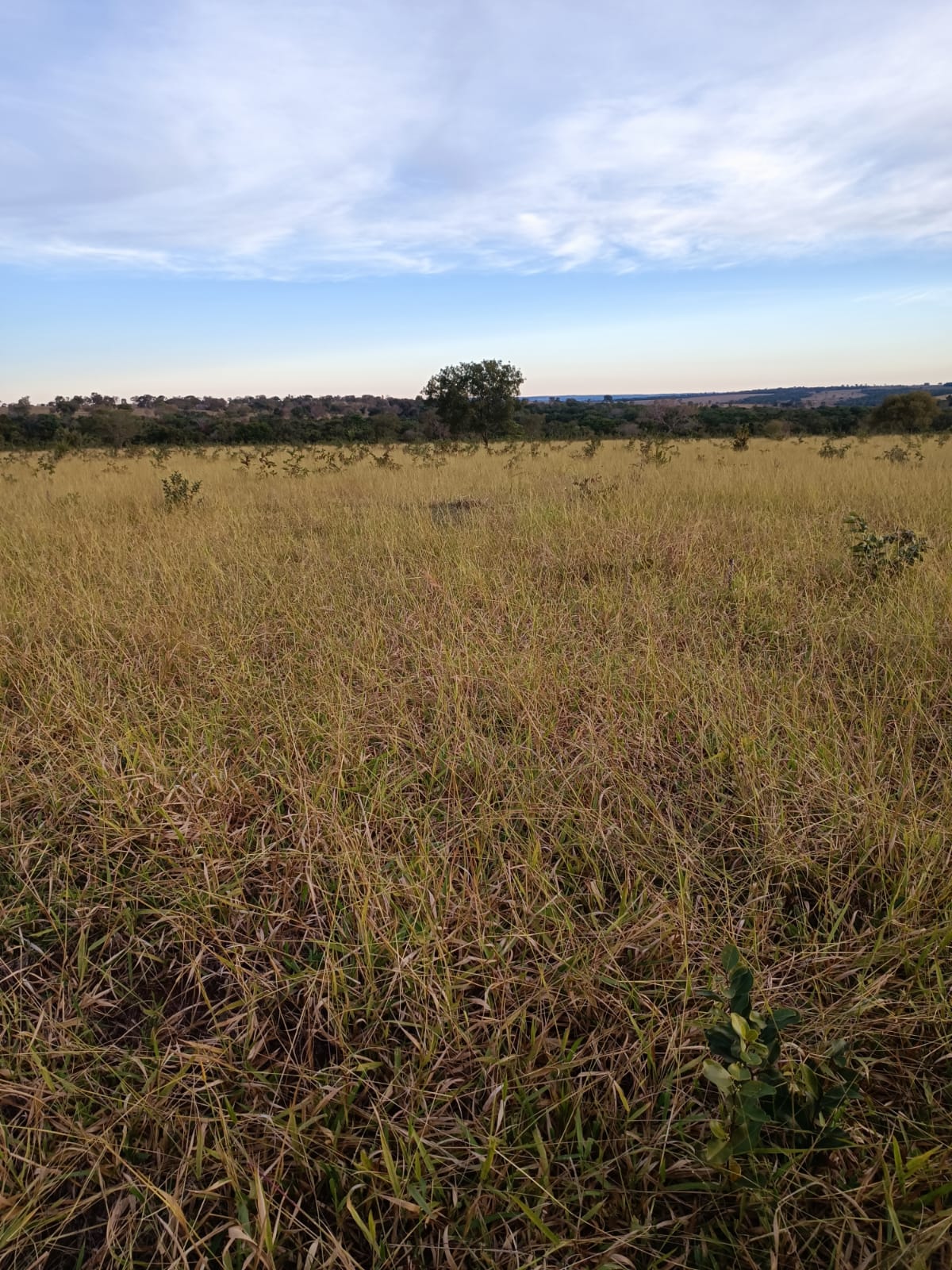 Fazenda à venda, 796m² - Foto 5