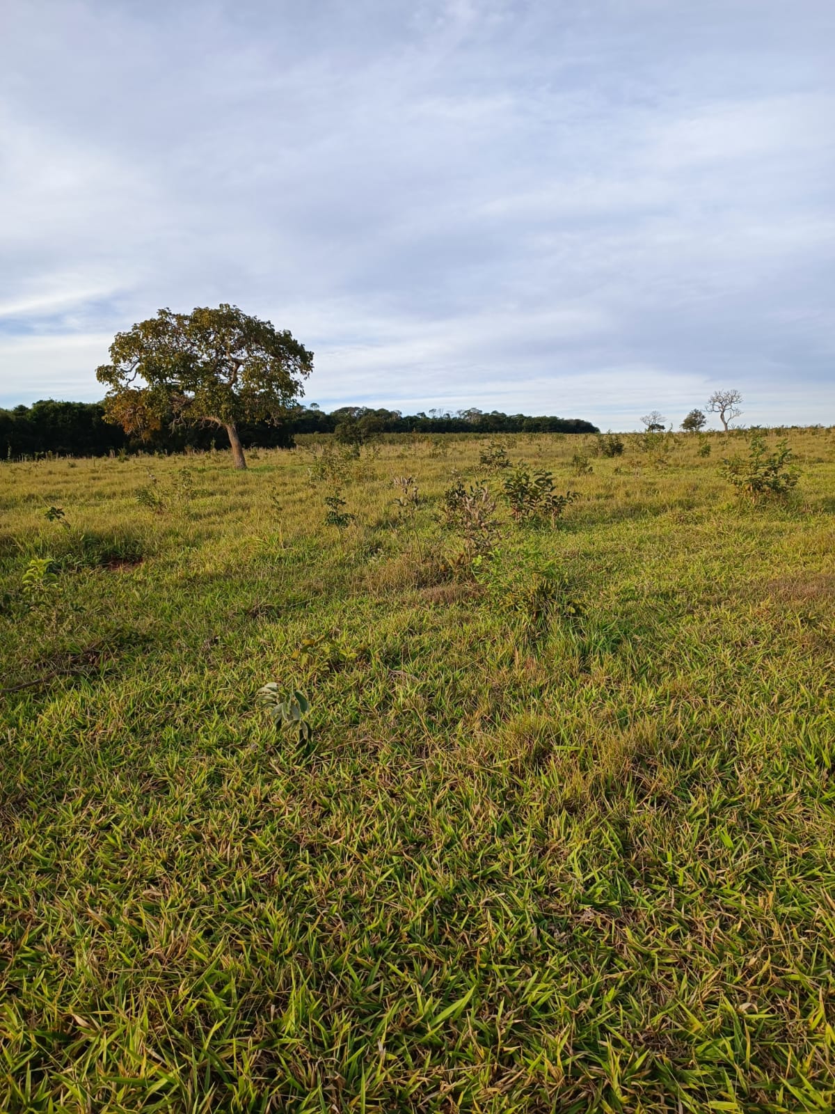 Fazenda à venda, 796m² - Foto 1