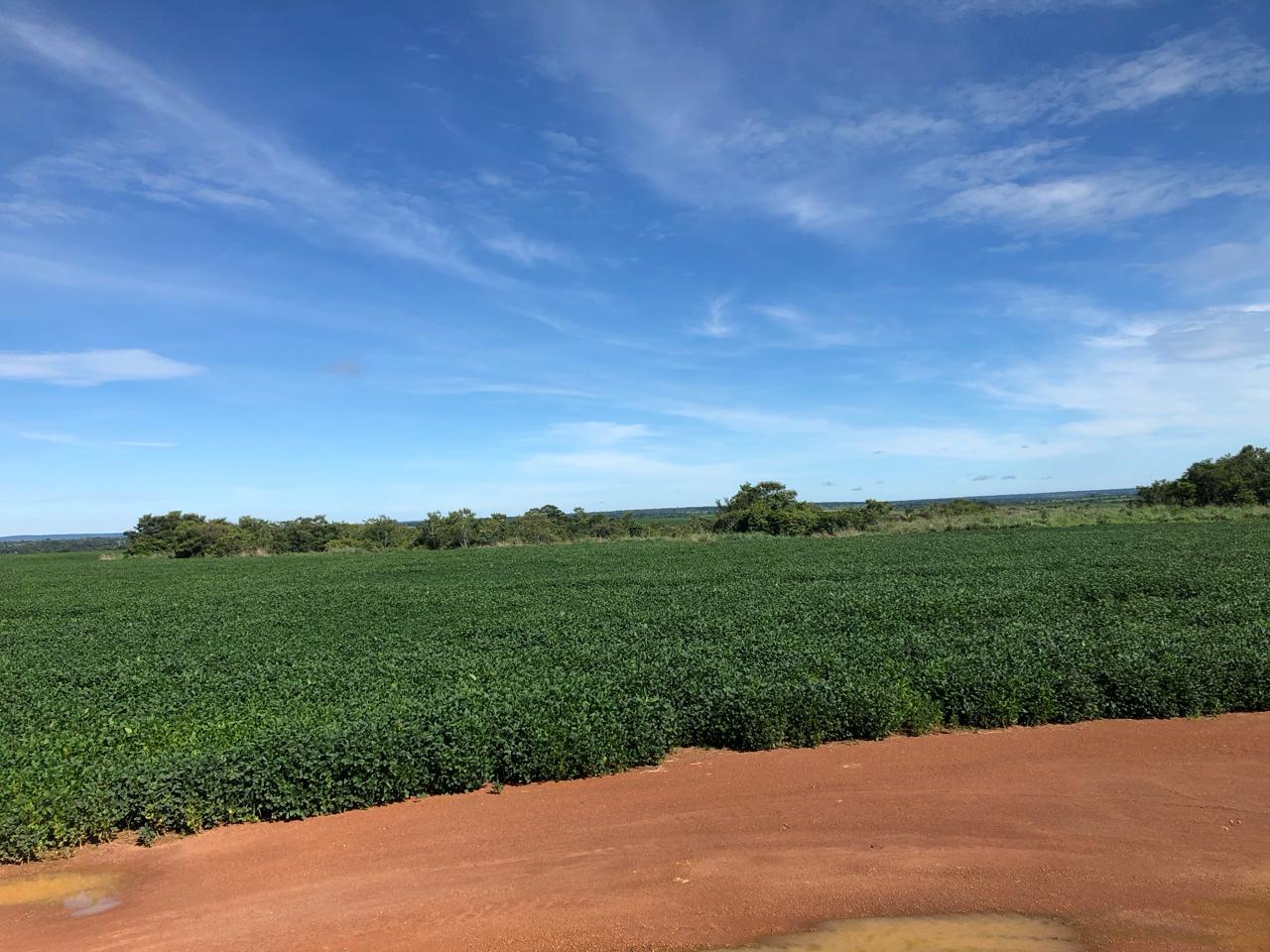 Fazenda à venda, 1100m² - Foto 1