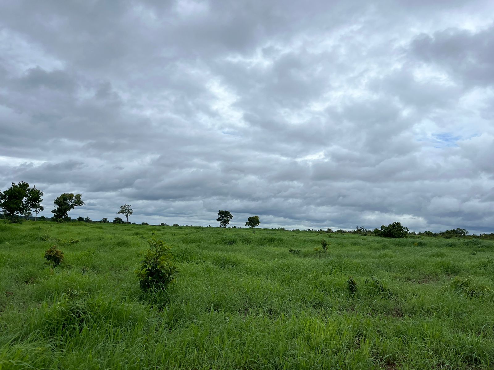 Fazenda à venda, 145m² - Foto 5