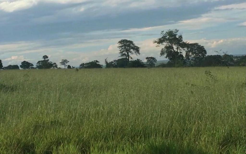 Fazenda à venda, 1839m² - Foto 7