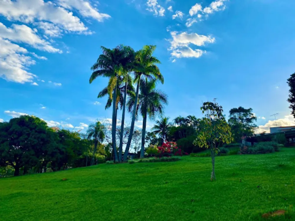 Chácara, 3 quartos, 5000 m² - Foto 8