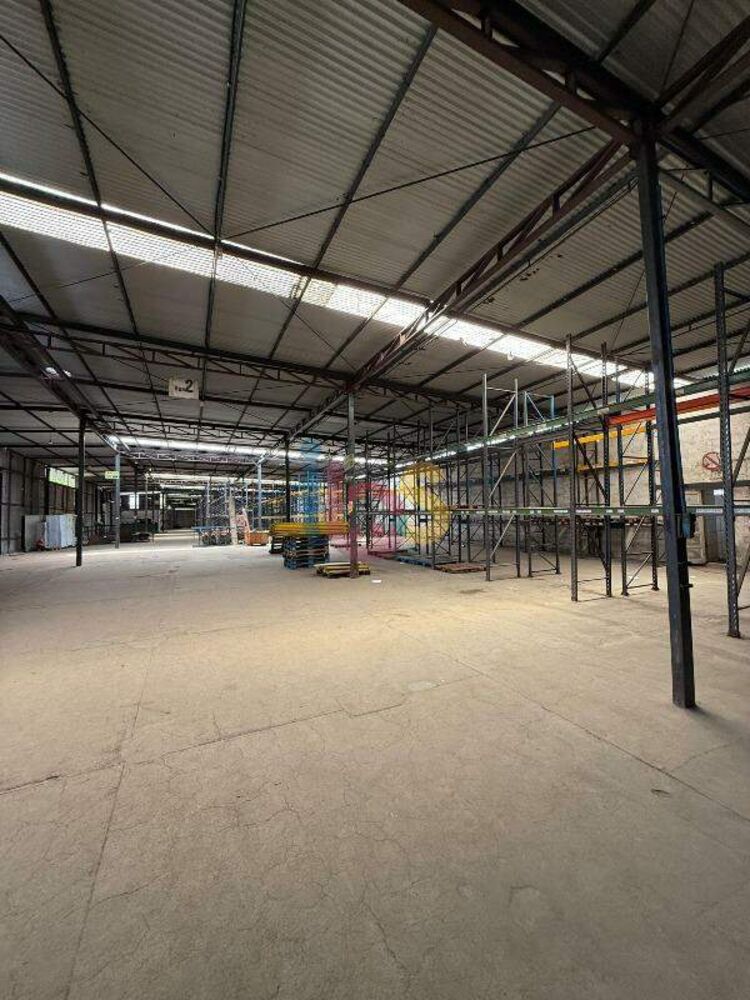 Depósito-Galpão, 9300 m² - Foto 10