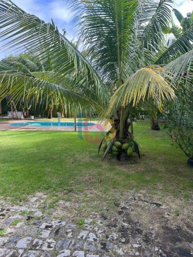 Casa, 2 quartos, 200 m² - Foto 6