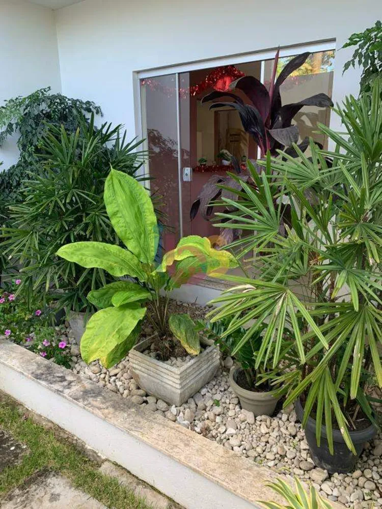 Casa, 3 quartos, 430 m² - Foto 10