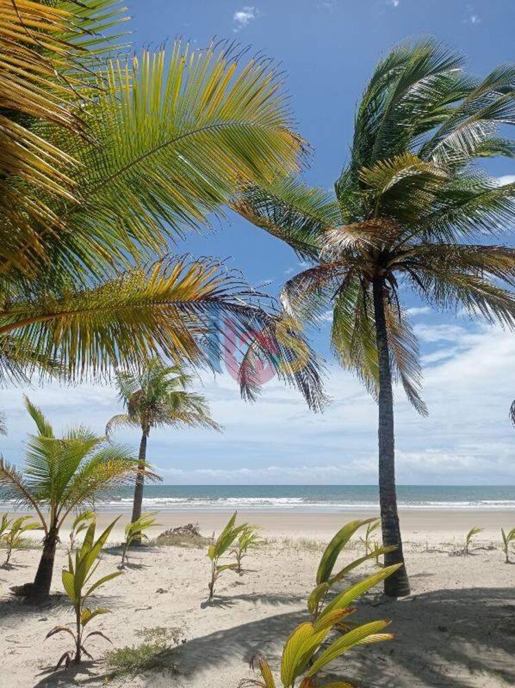 Terreno, 200 m² - Foto 2