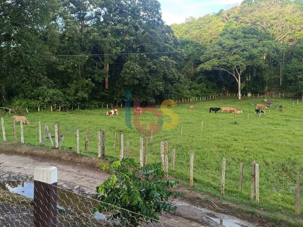 Sítio, 4 quartos - Foto 2