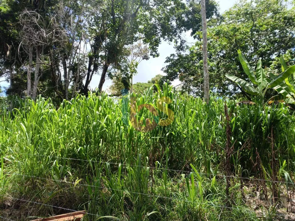 Fazenda, 4 quartos - Foto 4
