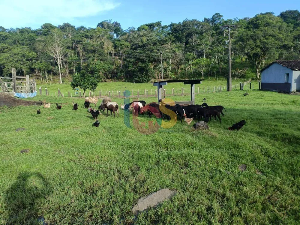 Sítio, 4 quartos - Foto 4
