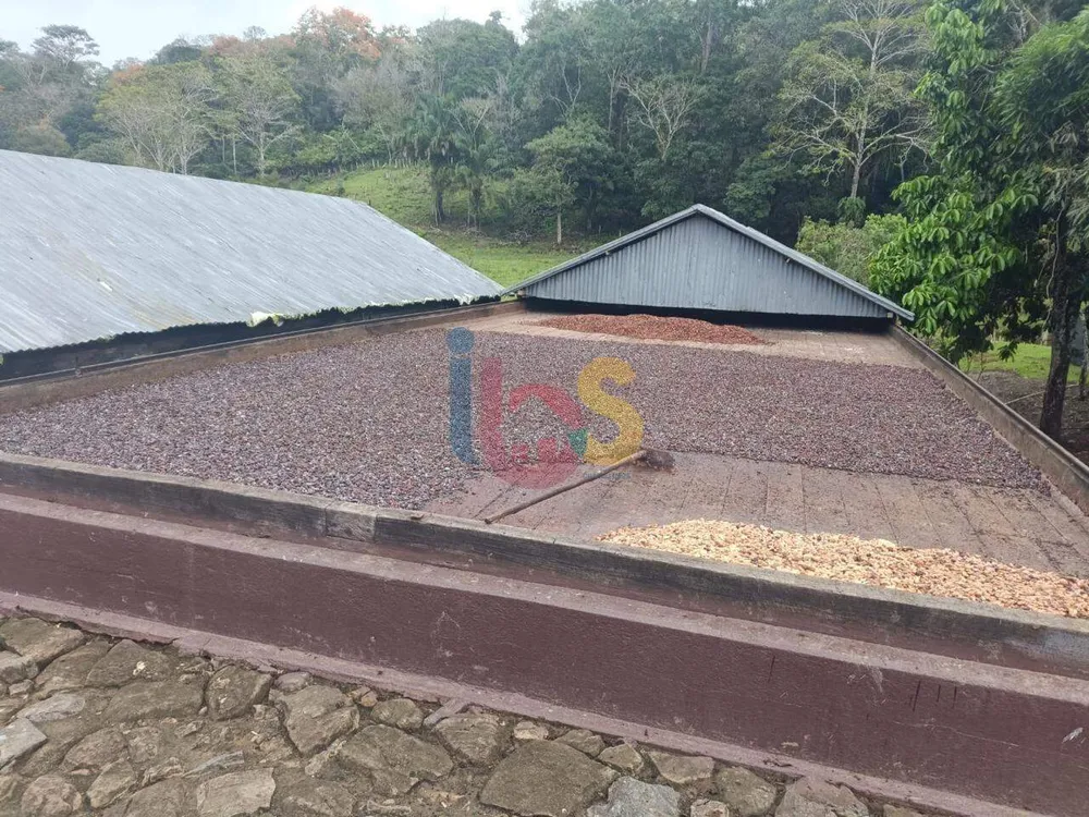 Fazenda, 4 quartos - Foto 1