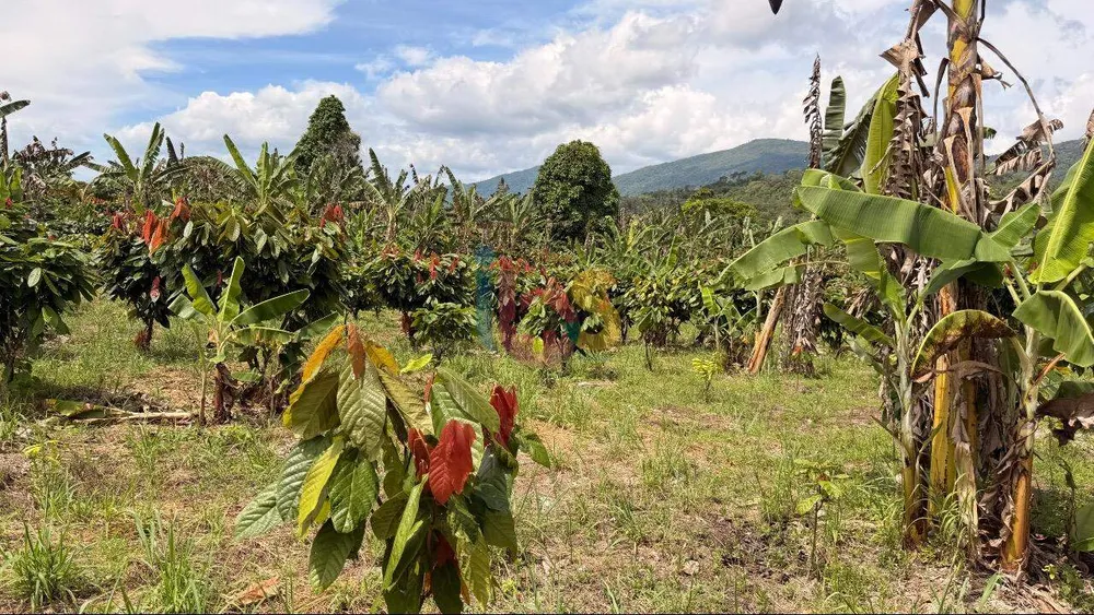 Fazenda, 8 quartos - Foto 3
