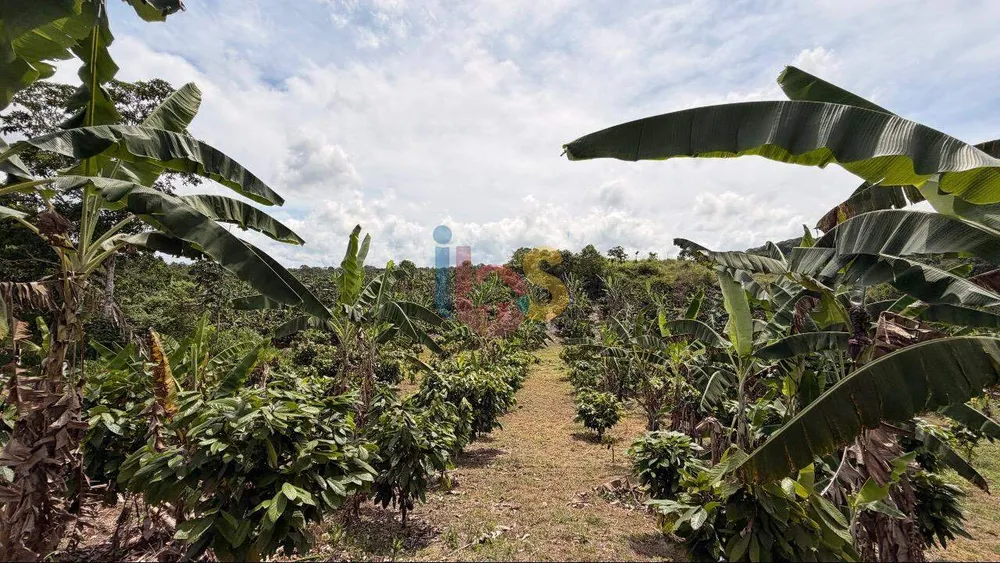 Fazenda, 8 quartos - Foto 1