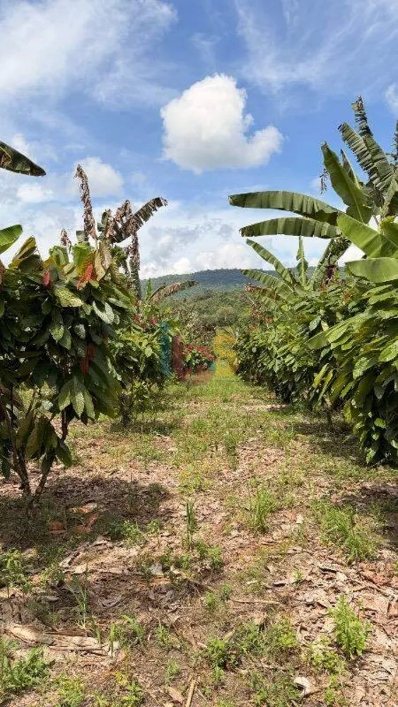 Fazenda, 8 quartos - Foto 5