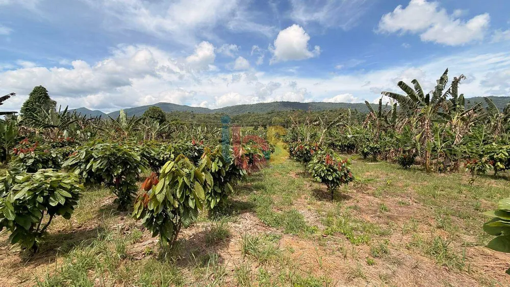 Fazenda, 8 quartos - Foto 2