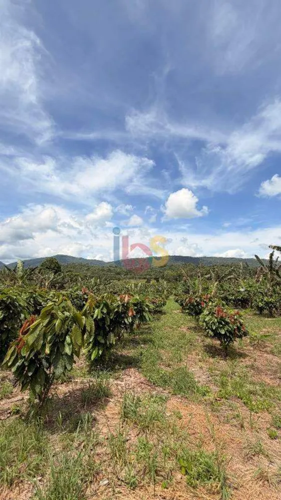 Fazenda, 8 quartos - Foto 8