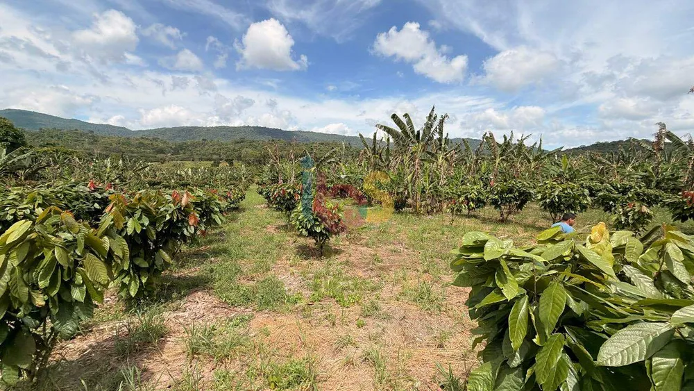 Fazenda, 8 quartos - Foto 4