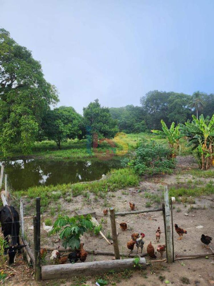 Fazenda, 6 m² - Foto 3