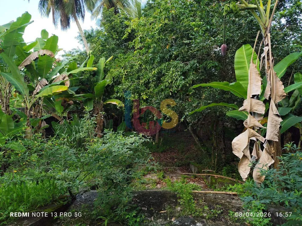 Casa, 4 quartos, 320 m² - Foto 8