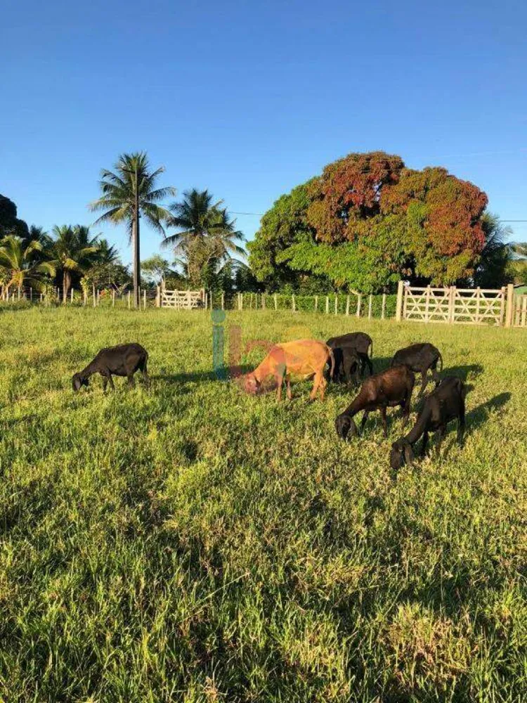 Fazenda, 20 m² - Foto 8
