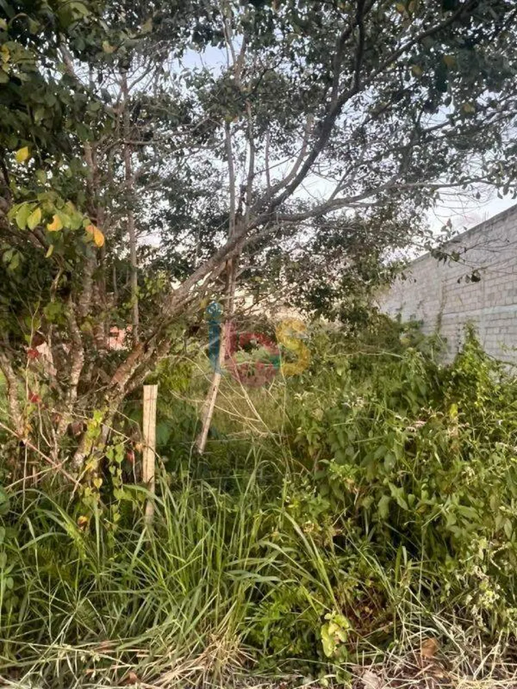 Terreno, 525 m² - Foto 5