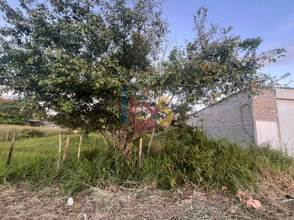 Terreno, 525 m² - Foto 4