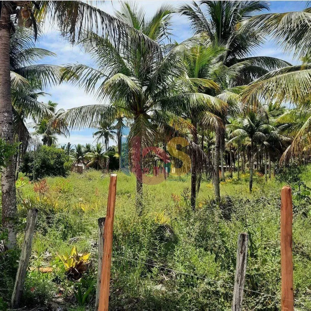 Terreno, 2 hectares - Foto 6