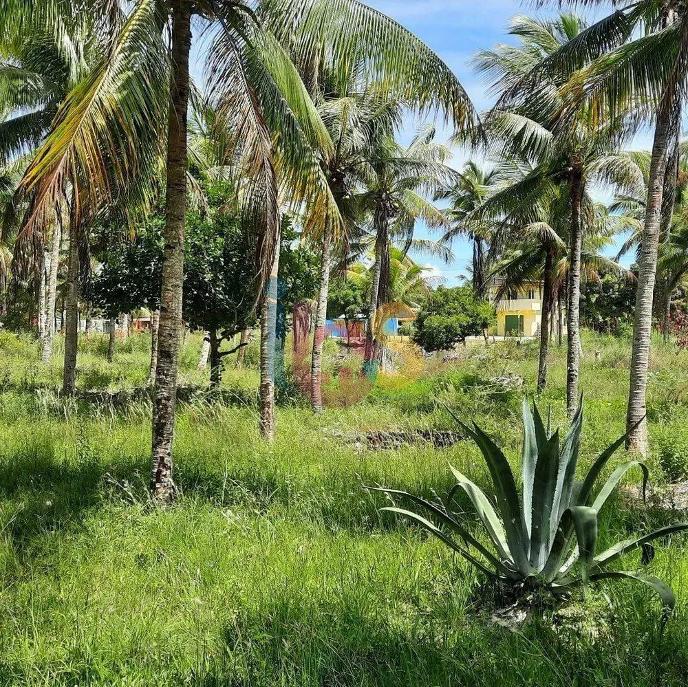 Terreno, 2 hectares - Foto 7