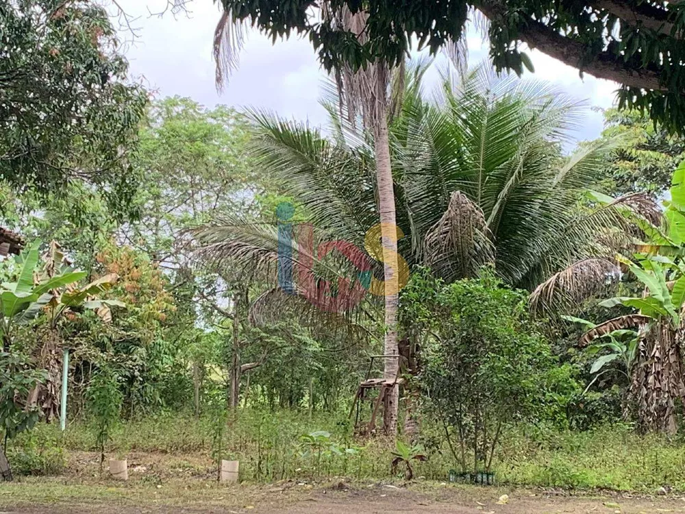 Fazenda à venda com 2 quartos, 14m² - Foto 5