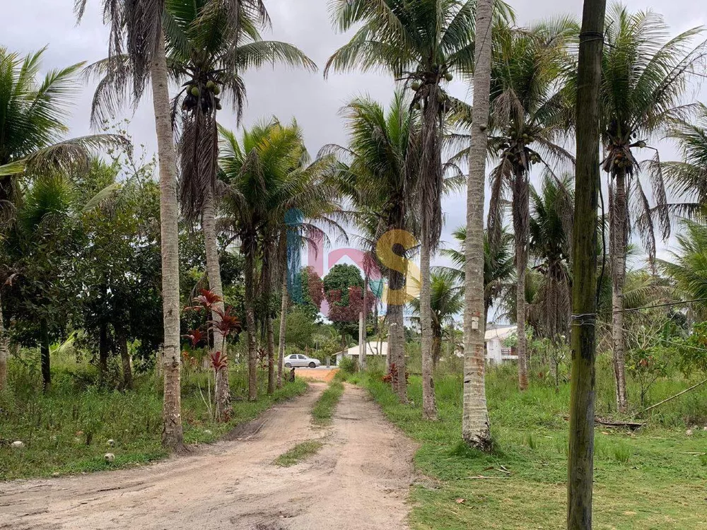 Fazenda à venda com 2 quartos, 14m² - Foto 2