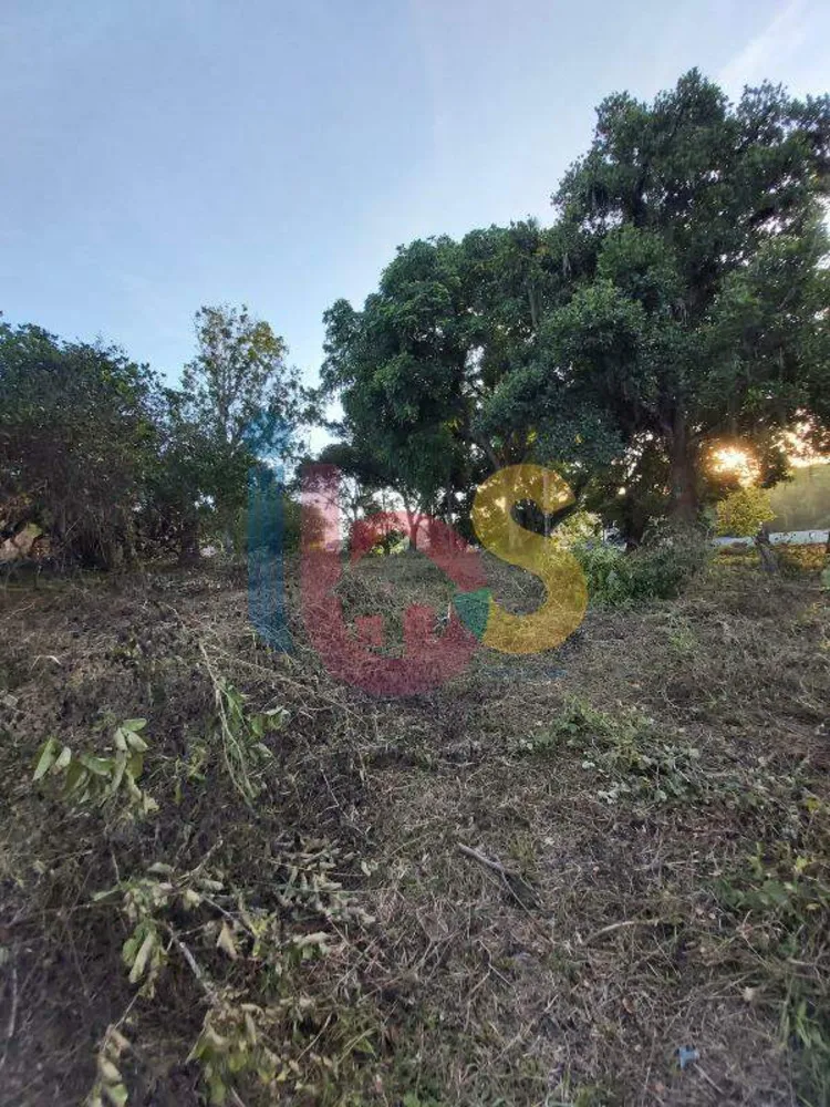 Terreno, 3600 m² - Foto 3