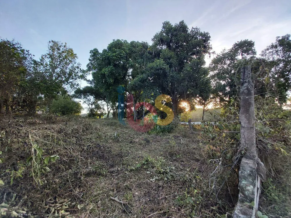 Terreno, 3600 m² - Foto 5