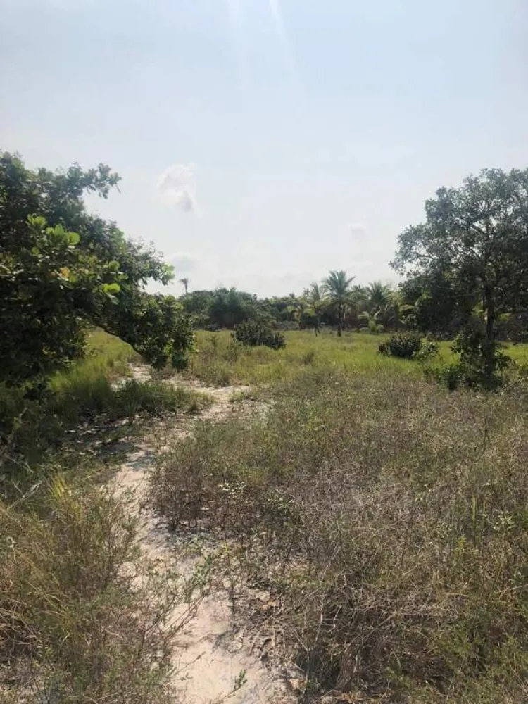 Terreno - Foto 4