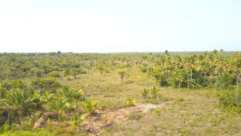 Terreno - Foto 6