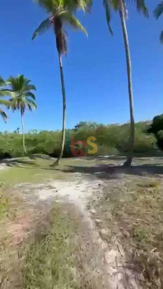 Terreno, 56 hectares - Foto 4